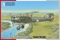 Potez 25 B2 Polish Jupiter "Against the Tide"