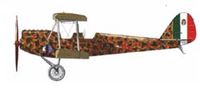 Caproni Ca.100 - Image 1